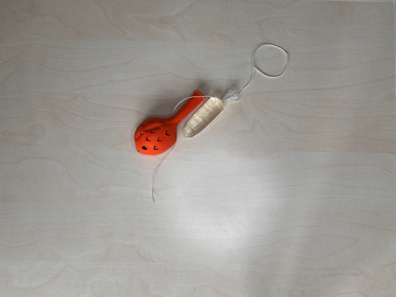 Experiment Kugelfisch aus Luftballon